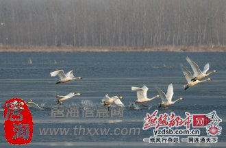 (图1)