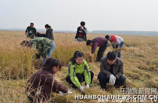 (图1)