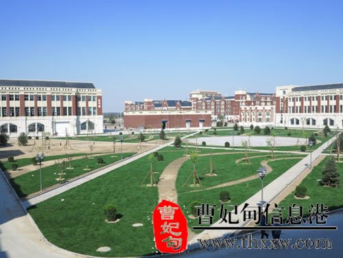 (图8)
