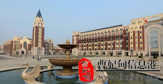 (图1)