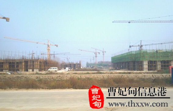 (图3)