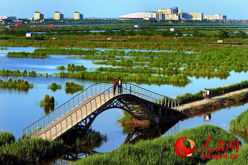 (图1) (图1)