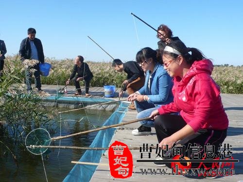 (图4) (图4)