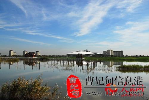 (图7) (图7)