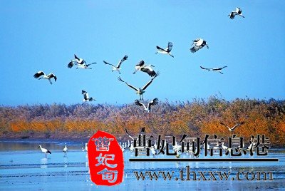 (图1)