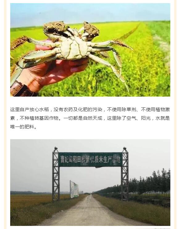 (图3)