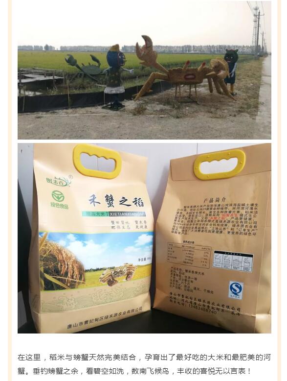 (图4)