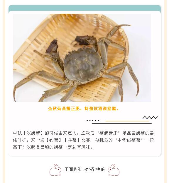 (图8)