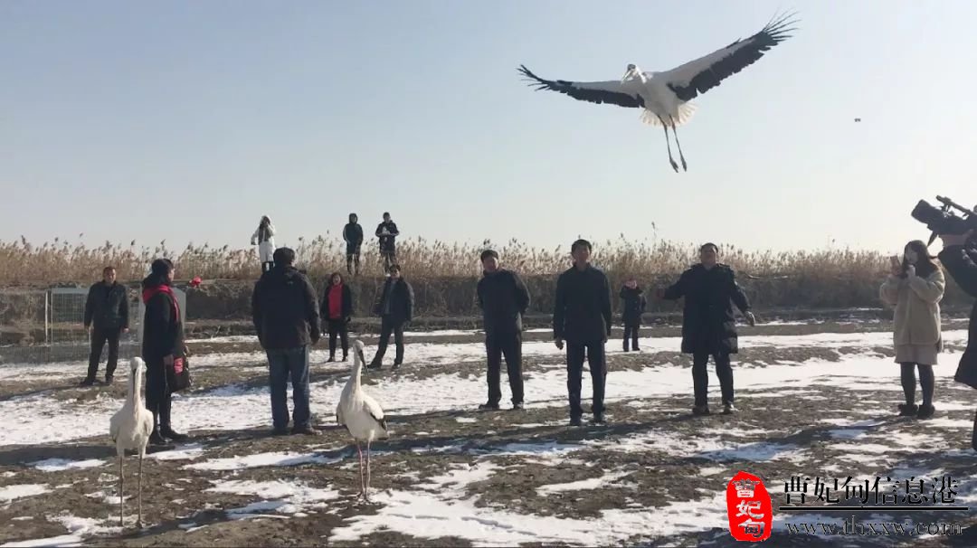 (图5)