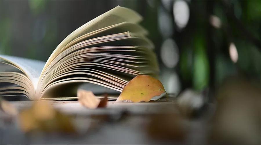 (图4)