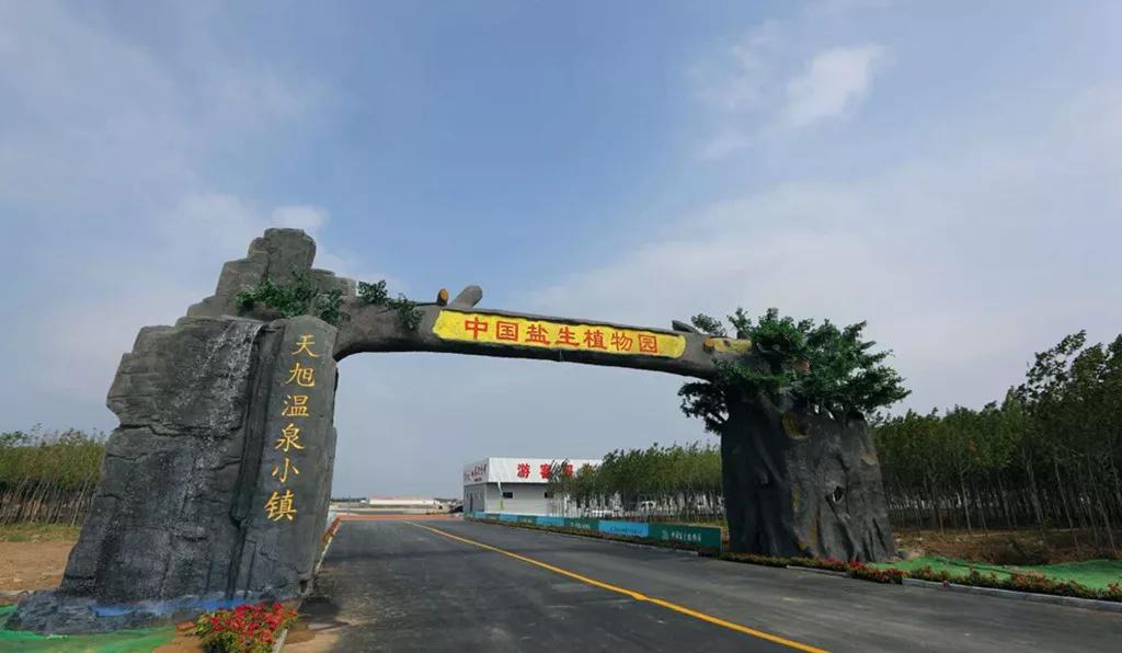北京—曹妃甸动车开通！曹妃甸四大车站公交车均调整！够方便！(图9)
