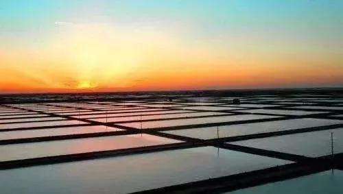 北京—曹妃甸动车开通！曹妃甸四大车站公交车均调整！够方便！(图20)