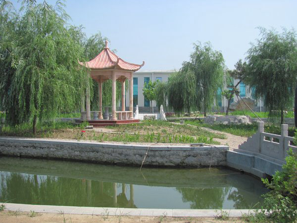 (图1)